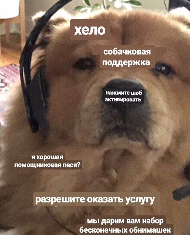 IMG_3192.jpeg