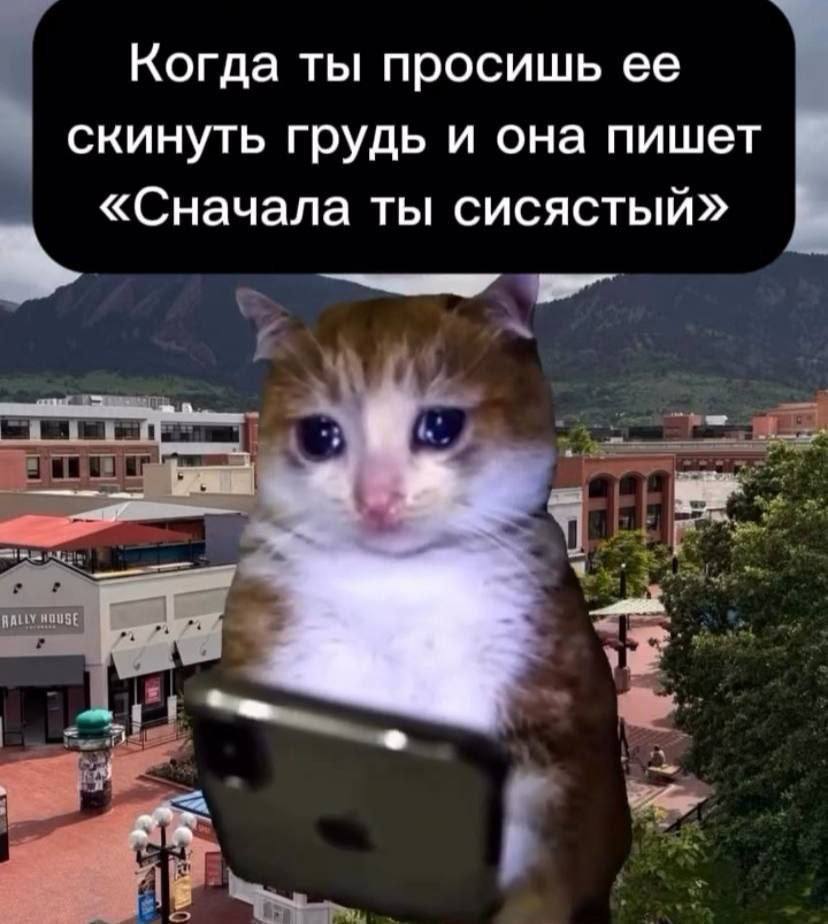 IMG_3192.jpeg