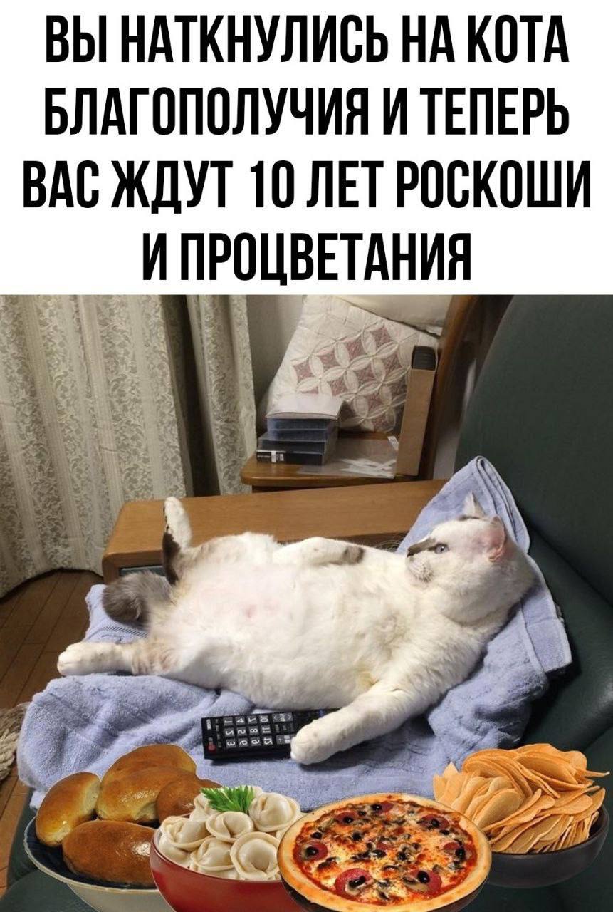 IMG_3193.jpeg