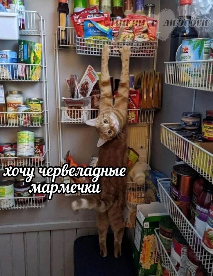 IMG_3196.jpeg