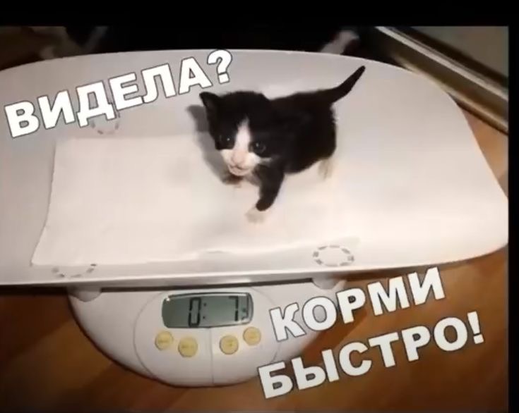 IMG_3206.jpeg