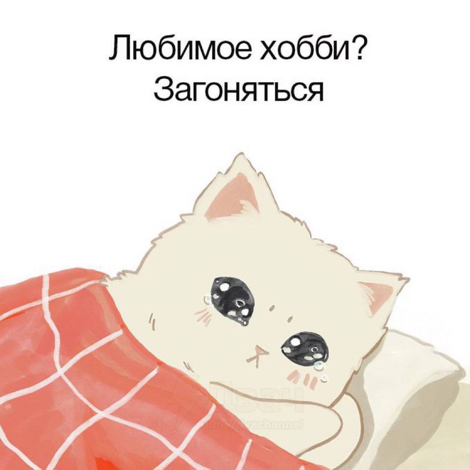 IMG_3207.jpeg