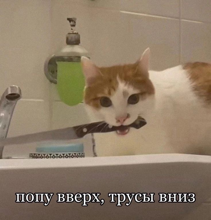 IMG_3215.jpeg