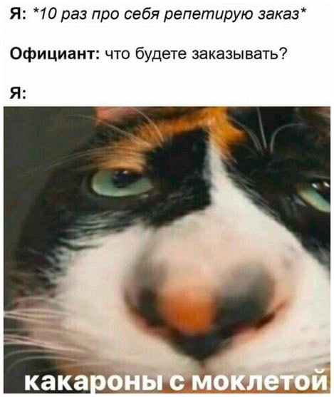 IMG_3234.jpeg
