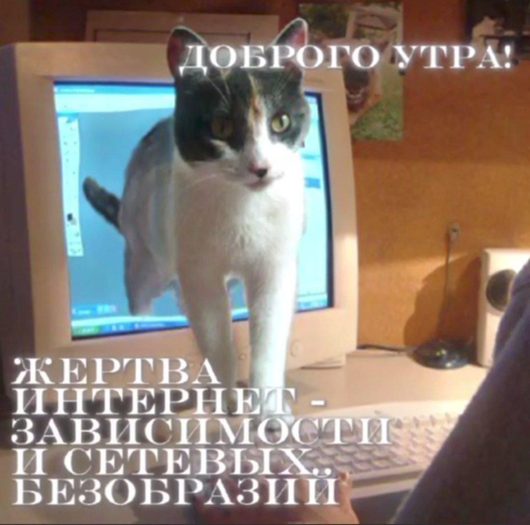 IMG_3240.jpeg