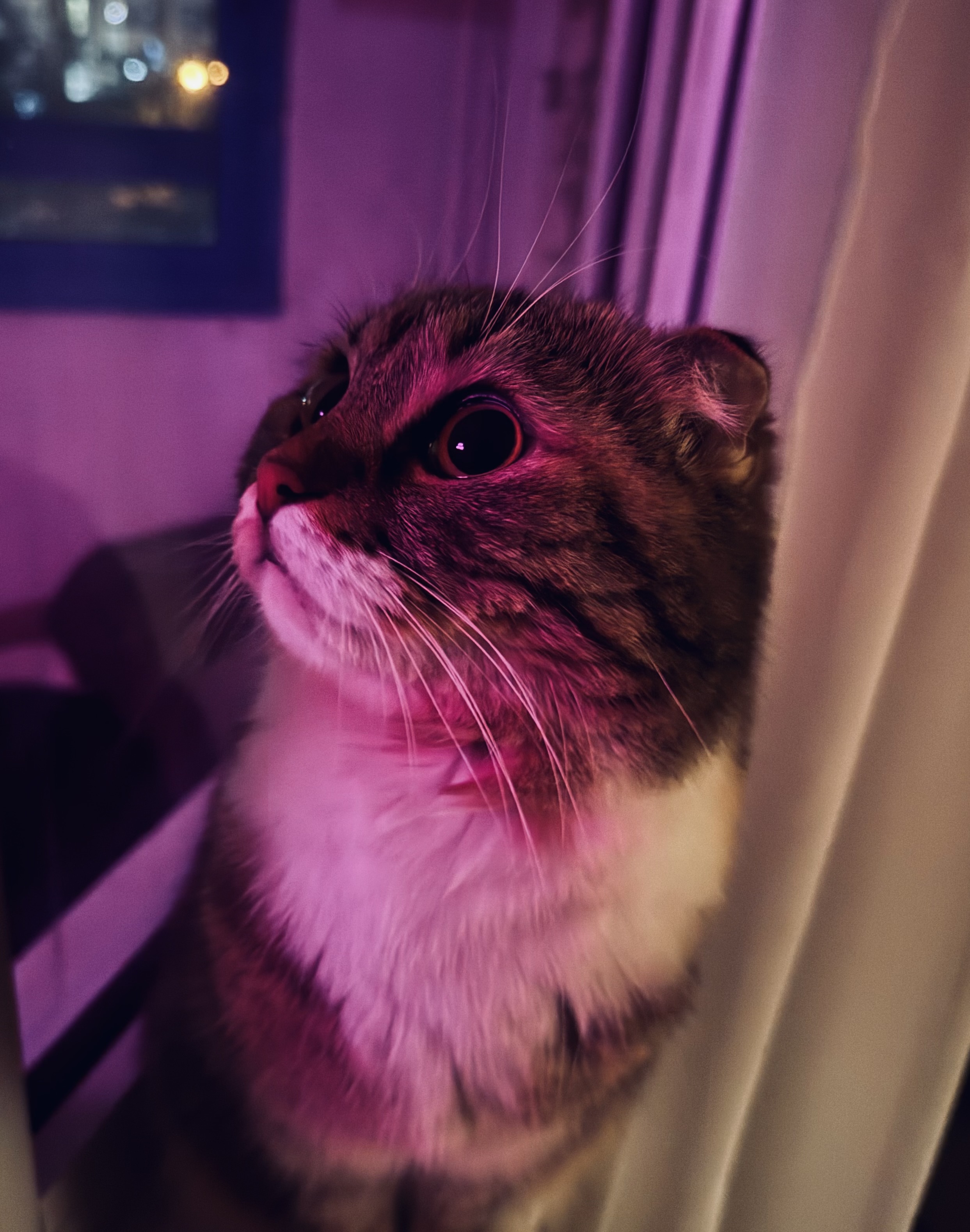 IMG_3243.jpeg