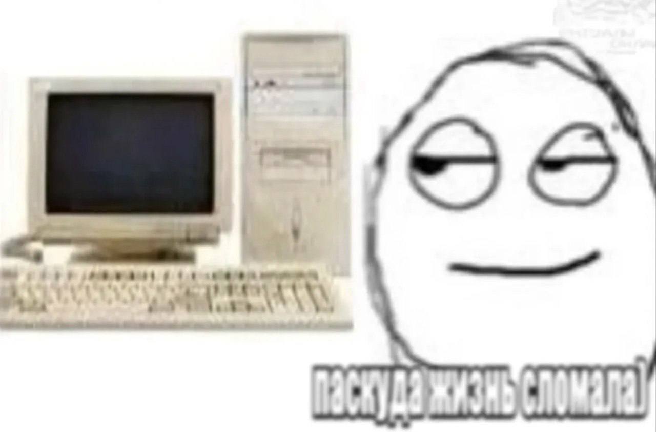 IMG_3265.jpeg