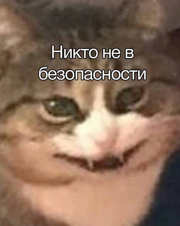 IMG_3275.jpeg