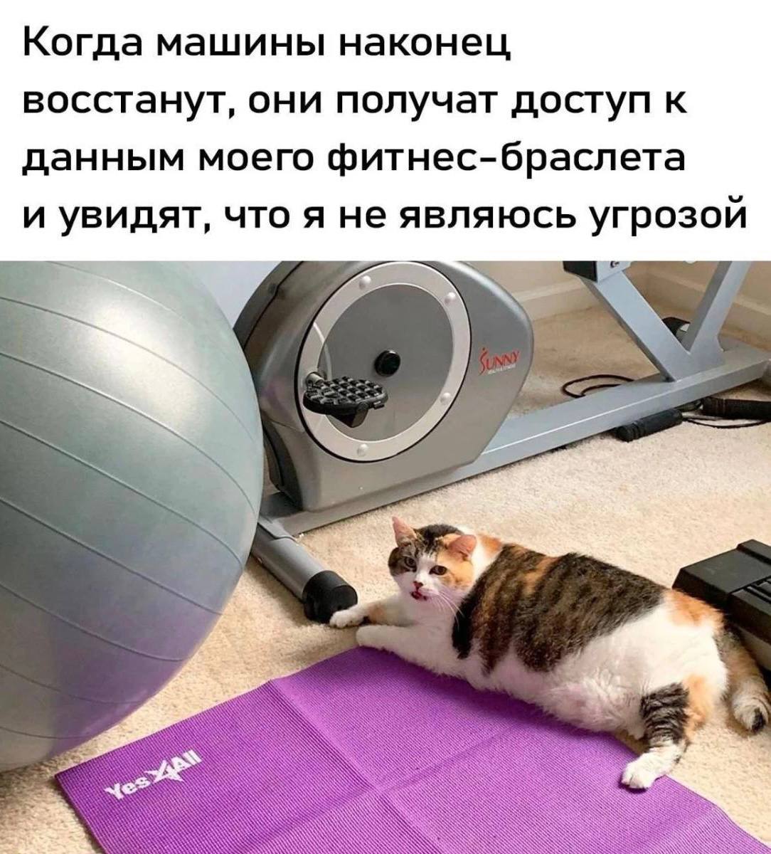 IMG_3289.jpeg