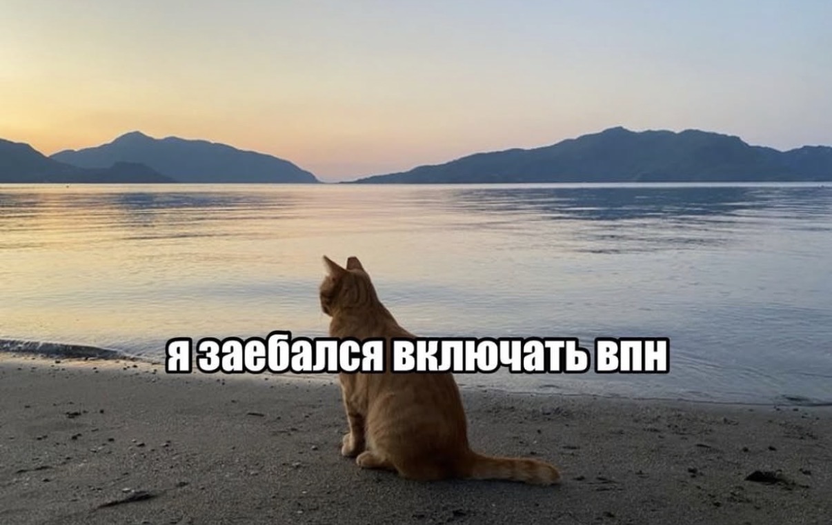 IMG_3293.jpeg