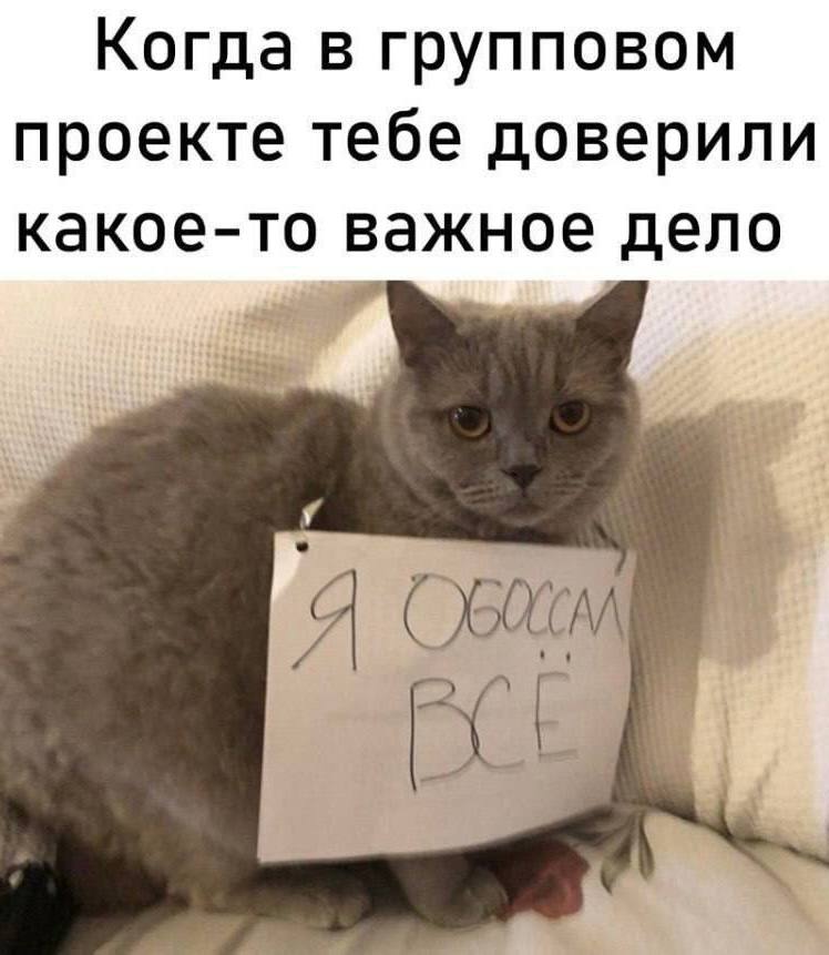 IMG_3295.jpeg