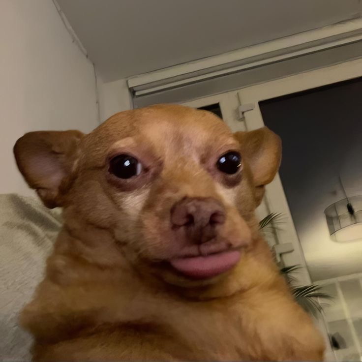 IMG_3303.jpeg