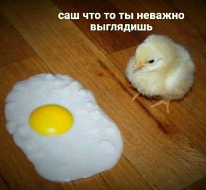 IMG_3326.jpeg