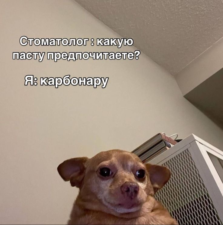IMG_3336.jpeg