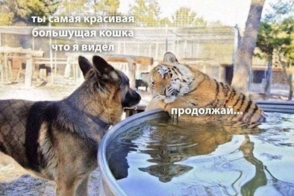 IMG_3348.jpeg