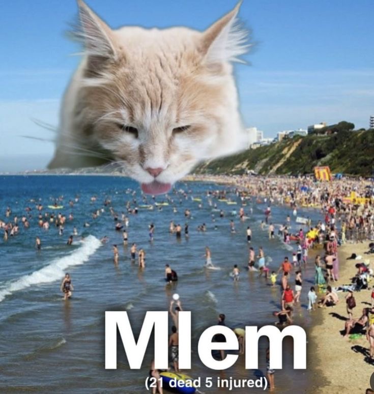 IMG_3351.jpeg