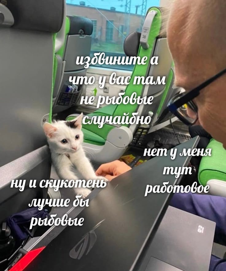 IMG_3354.jpeg