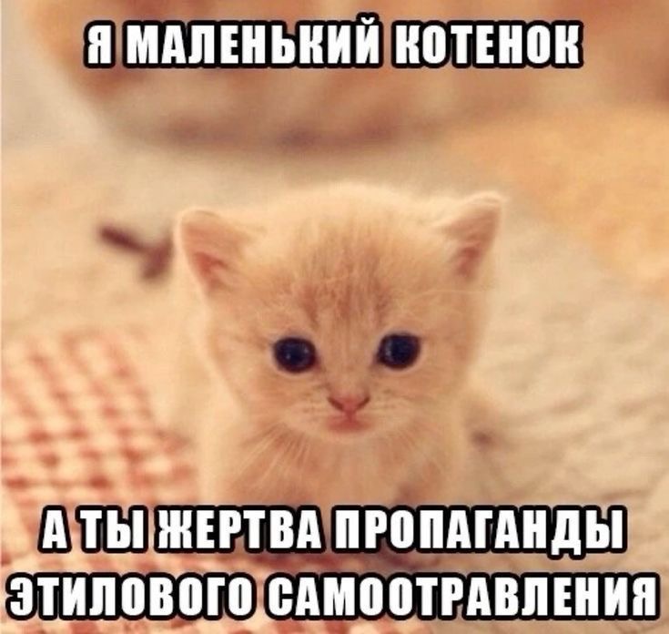 IMG_3376.jpeg