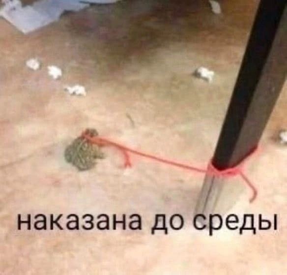 IMG_3380.jpeg