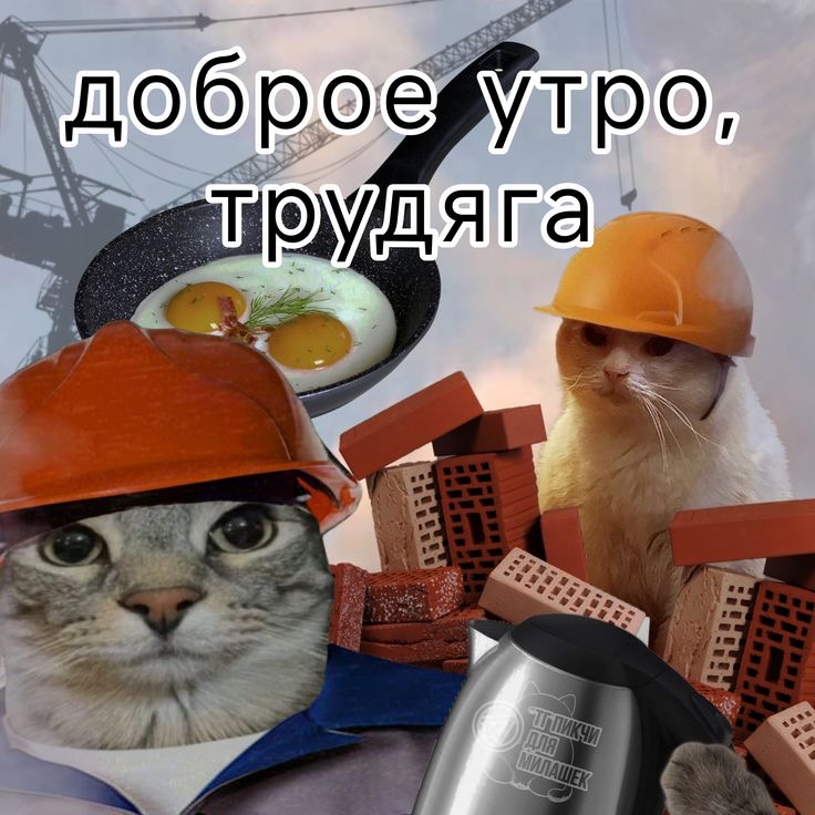 IMG_3394.jpeg