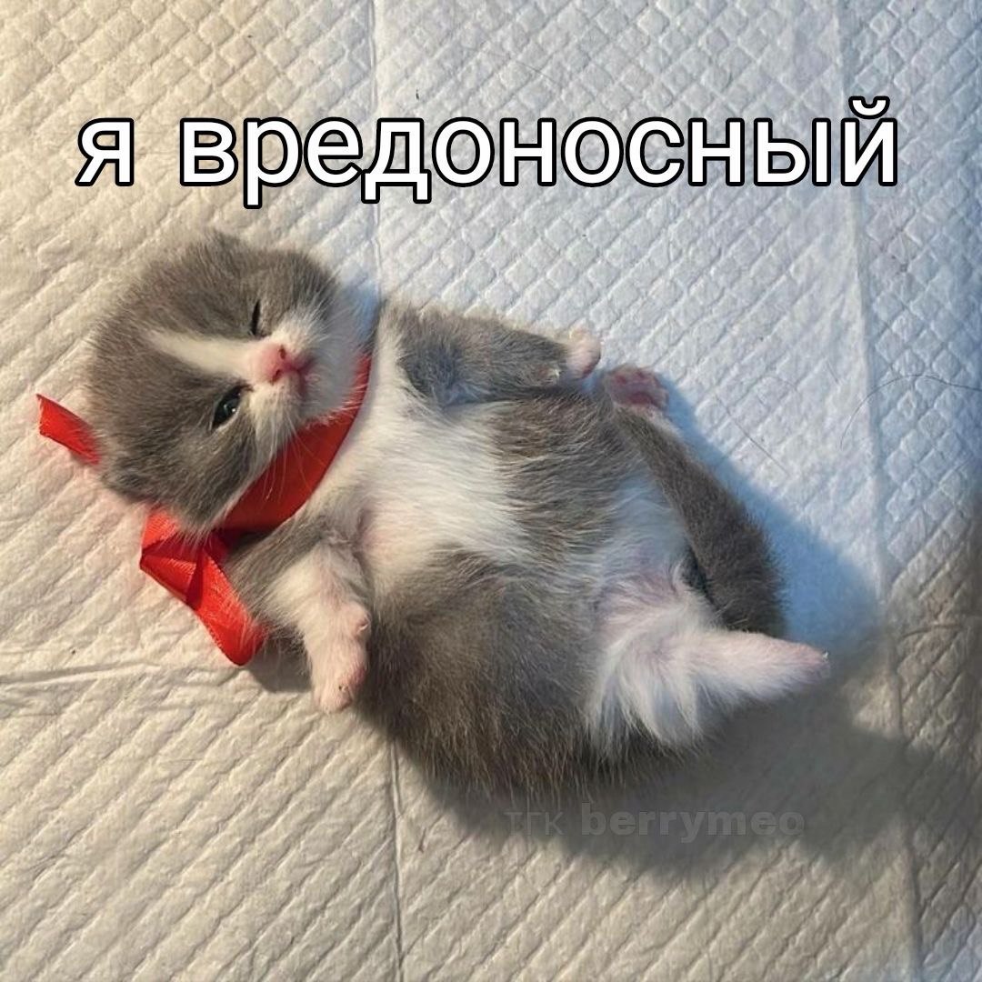 IMG_3397.jpeg