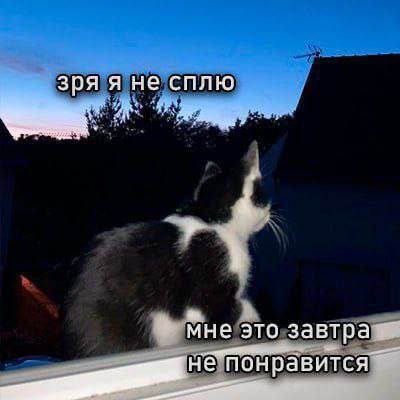 IMG_3402.jpeg