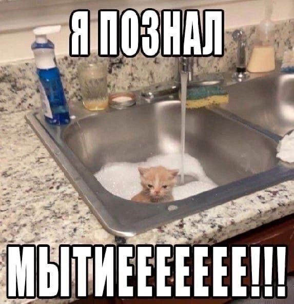 IMG_3404.jpeg