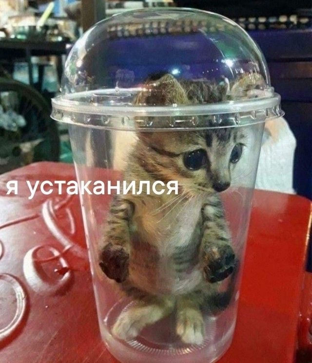 IMG_3407.jpeg