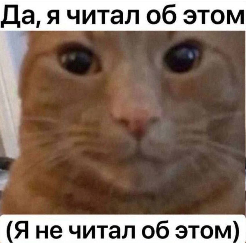 IMG_3412.jpeg