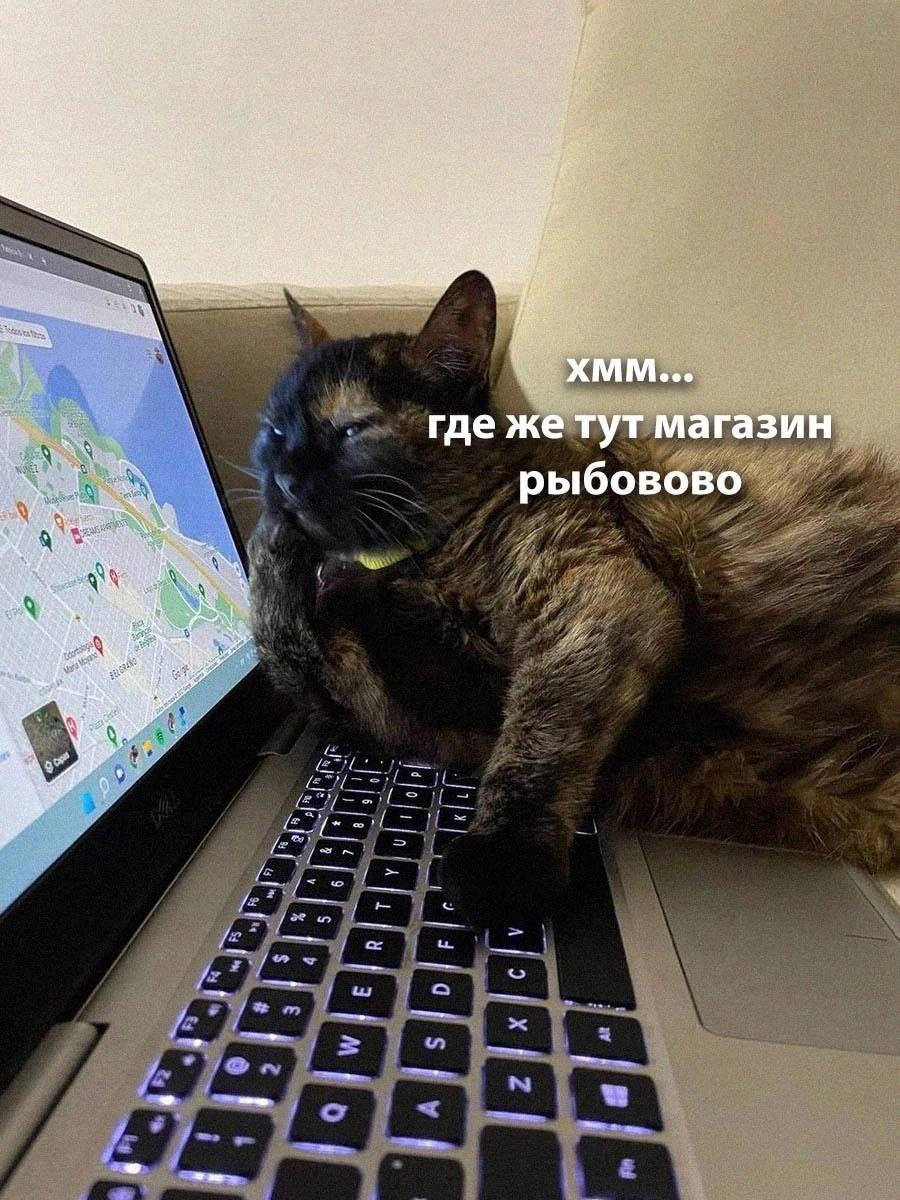 IMG_3435.jpeg