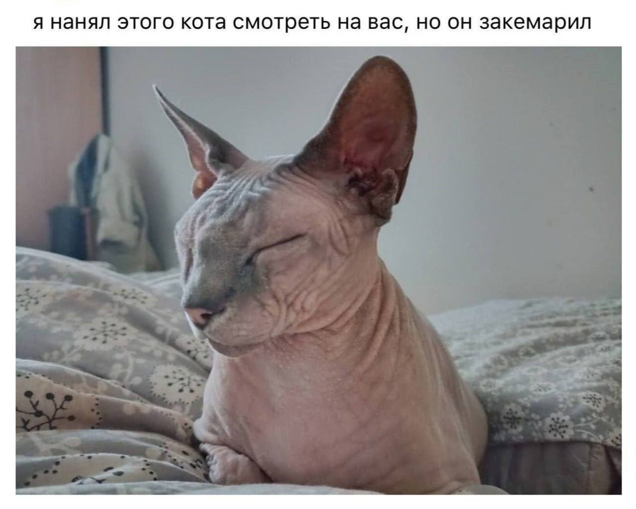IMG_3437.jpeg
