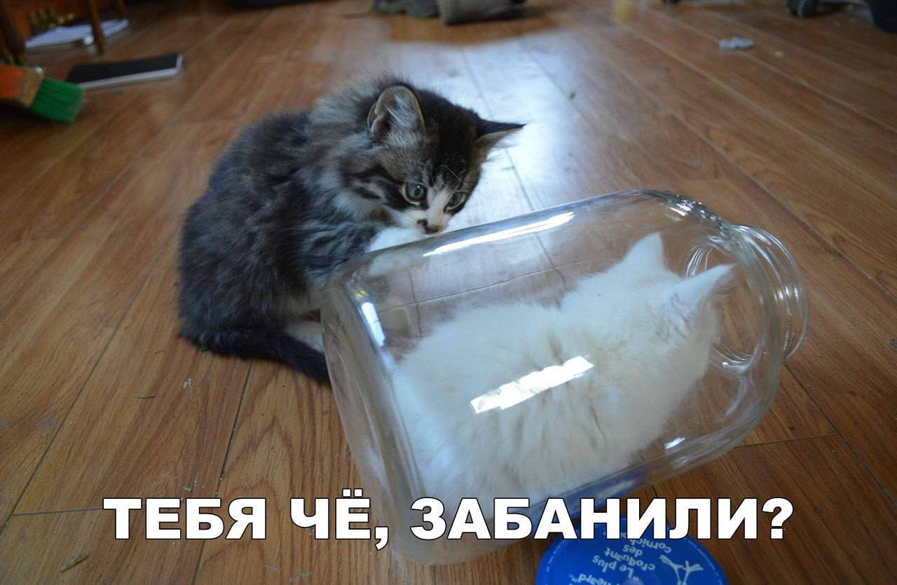 IMG_3448.jpeg