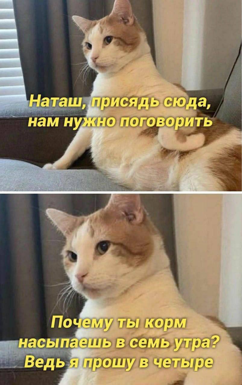 IMG_3449.jpeg