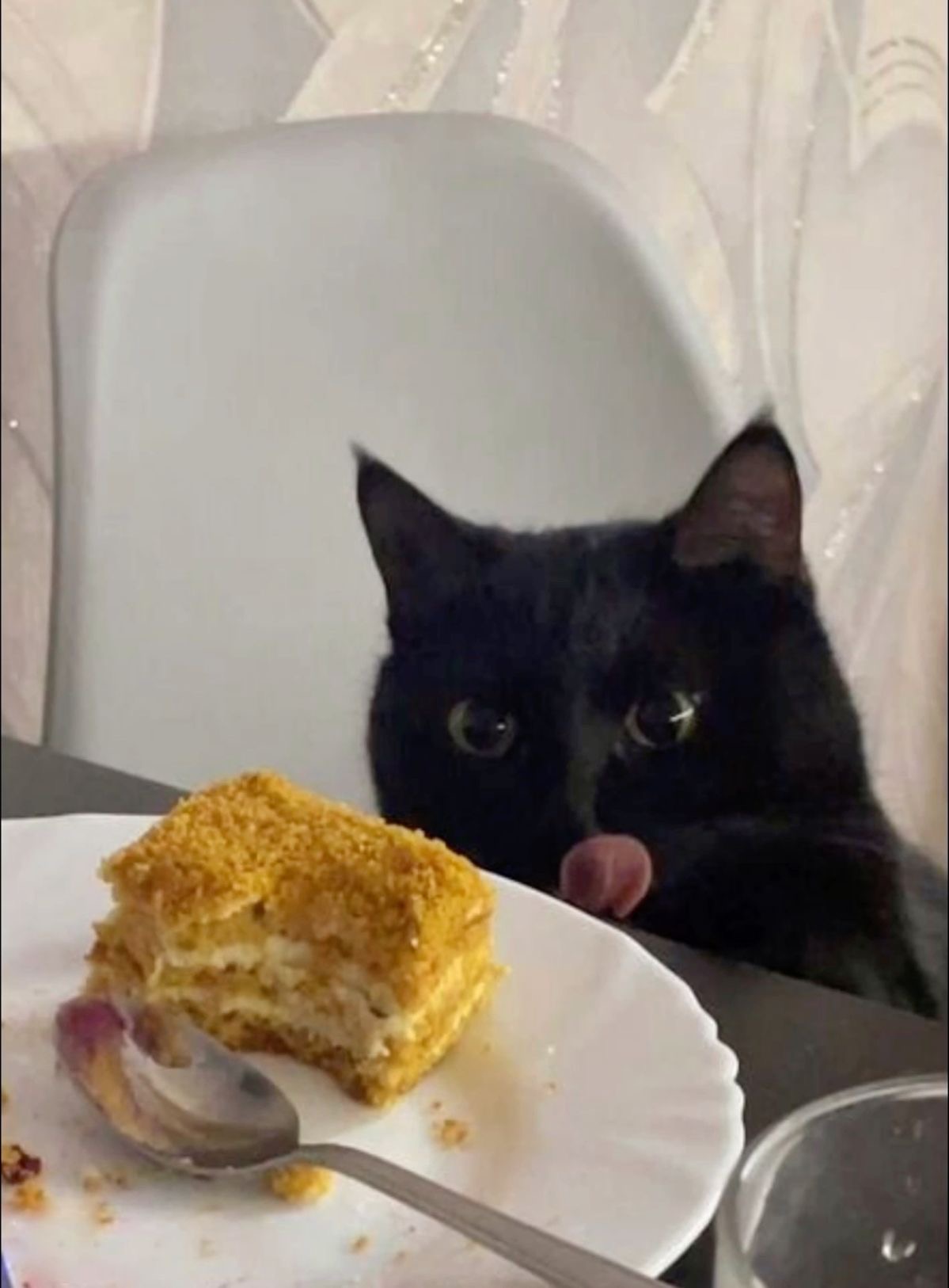 IMG_3456.jpeg