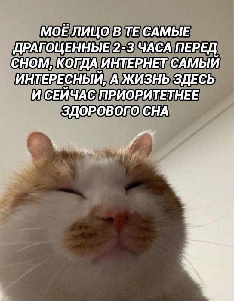 IMG_3465.jpeg