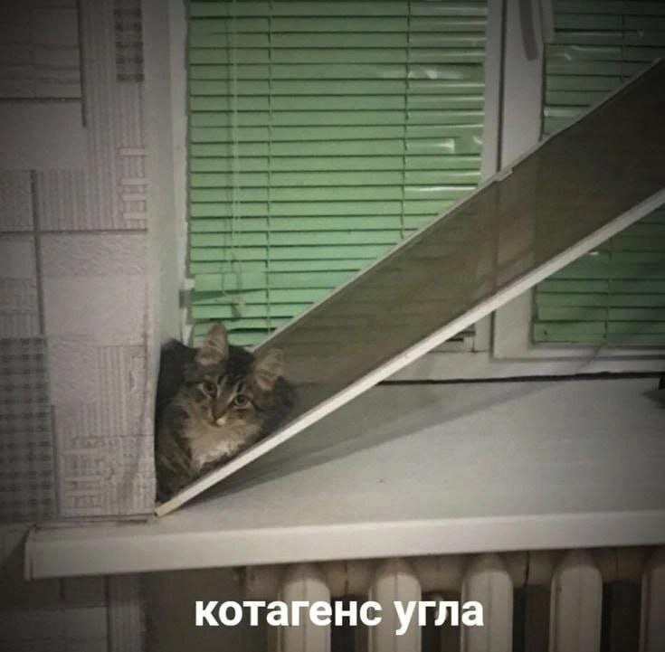 IMG_3466.jpeg