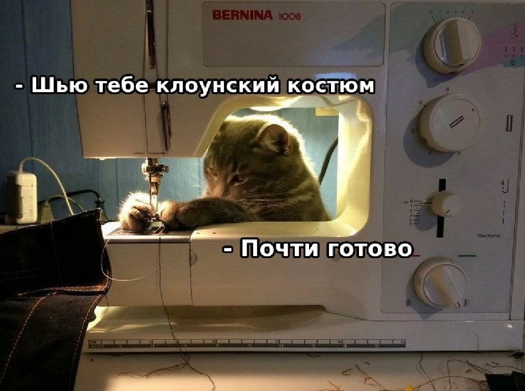 IMG_3468.jpeg