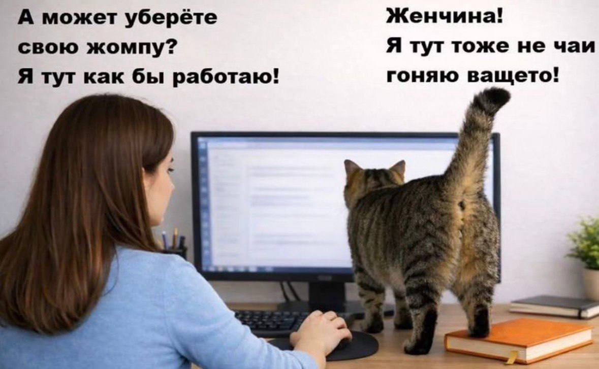 IMG_3478.jpeg
