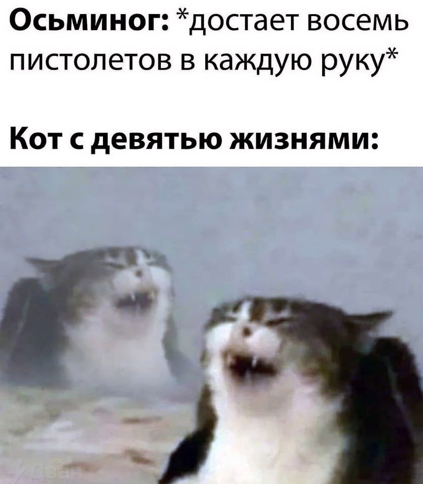 IMG_3483.jpeg