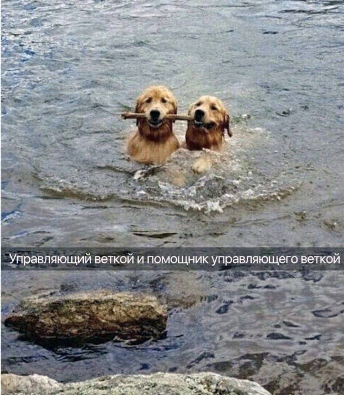 IMG_3486.jpeg