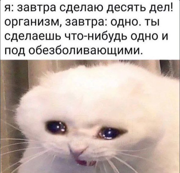 IMG_3493.jpeg