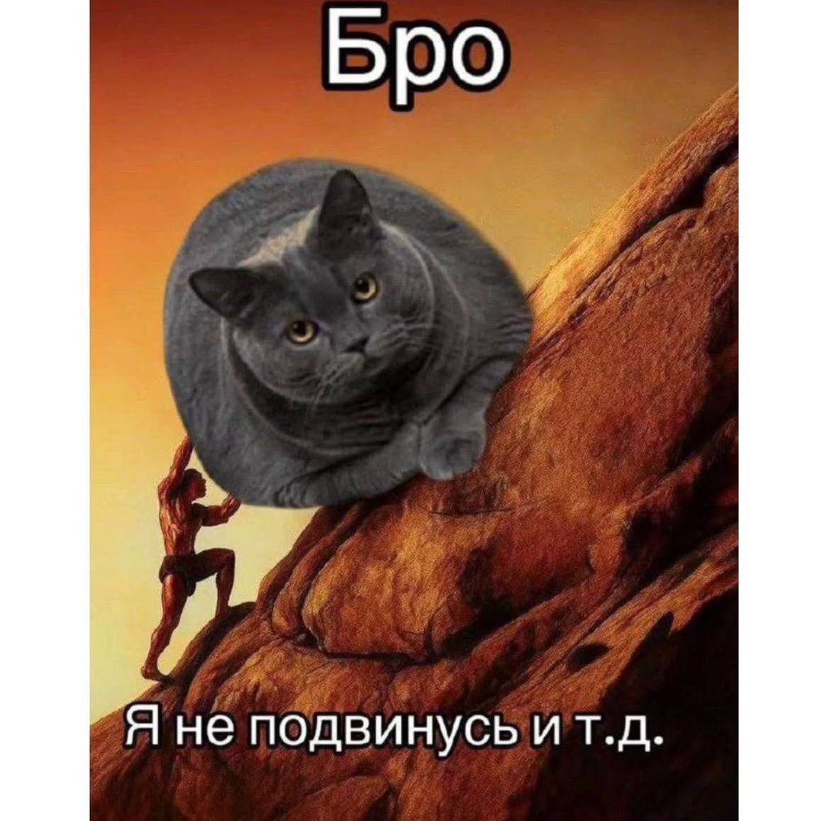 IMG_3494.jpeg