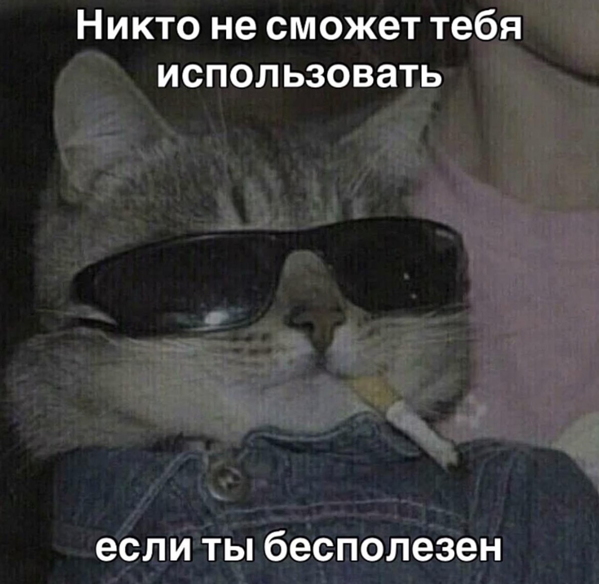 IMG_3498.jpeg