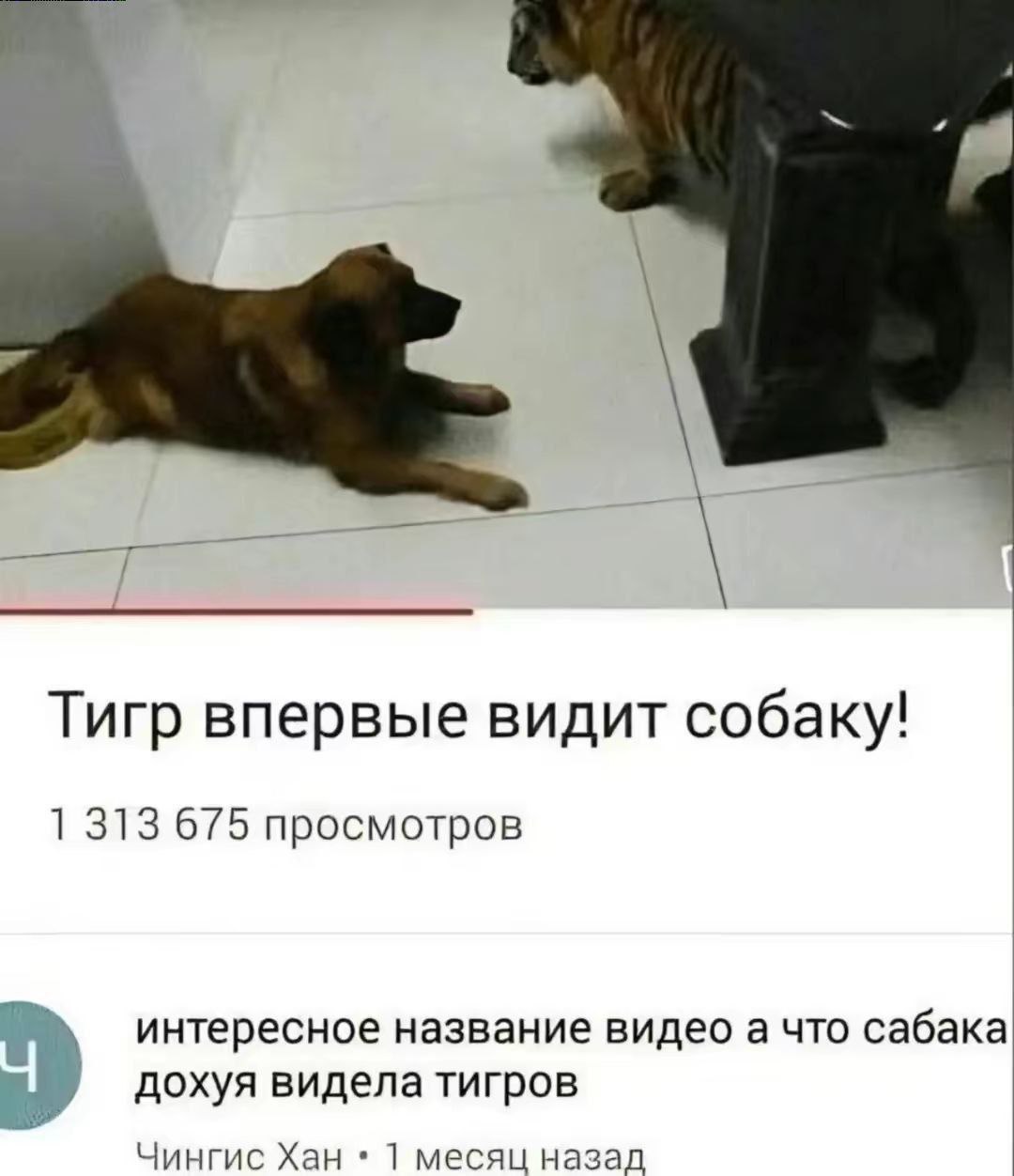 IMG_3508.jpeg