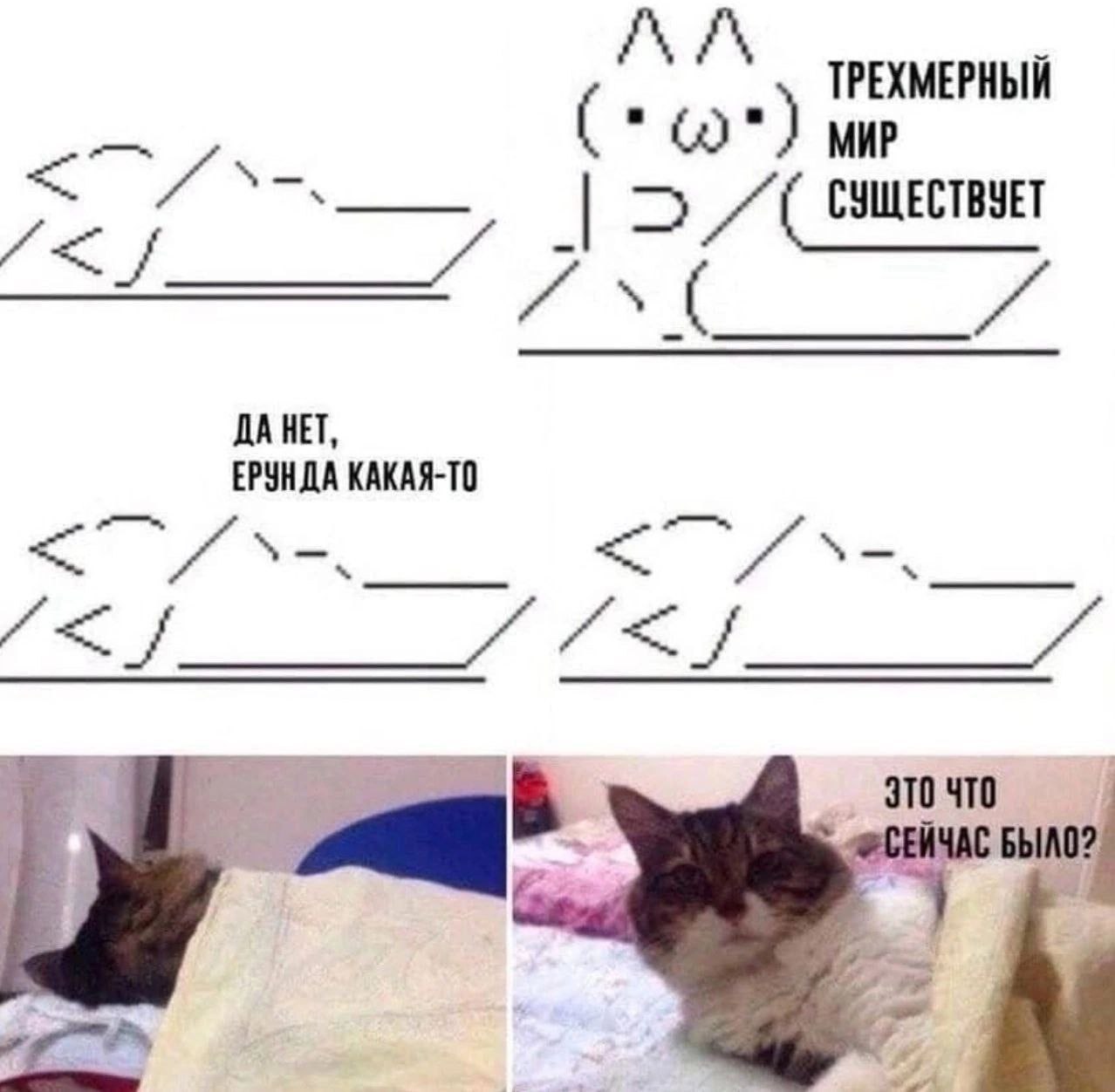 IMG_3514.jpeg