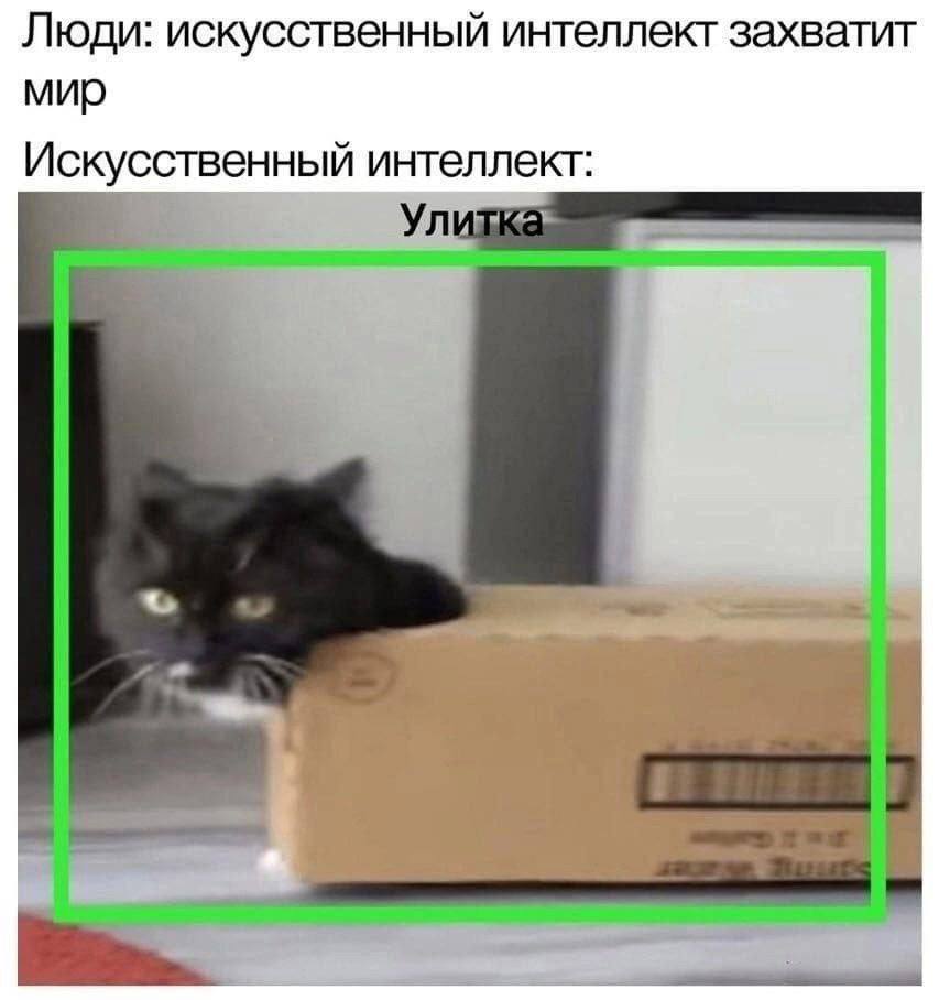 IMG_3515.jpeg