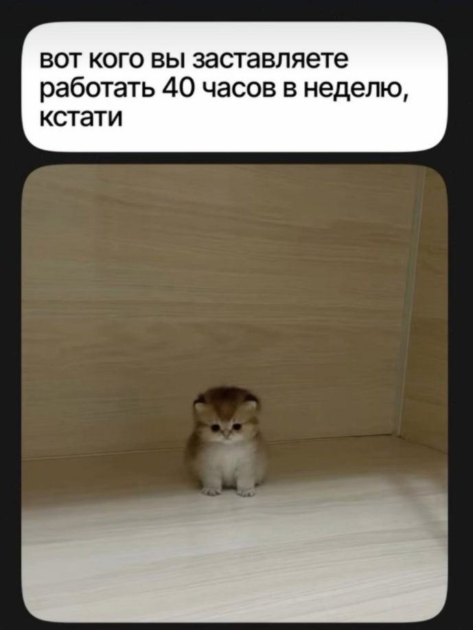 IMG_3530.png