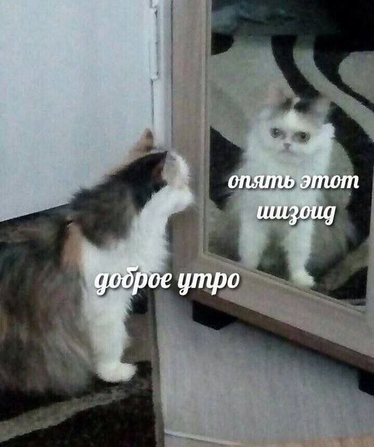 IMG_3558.jpeg