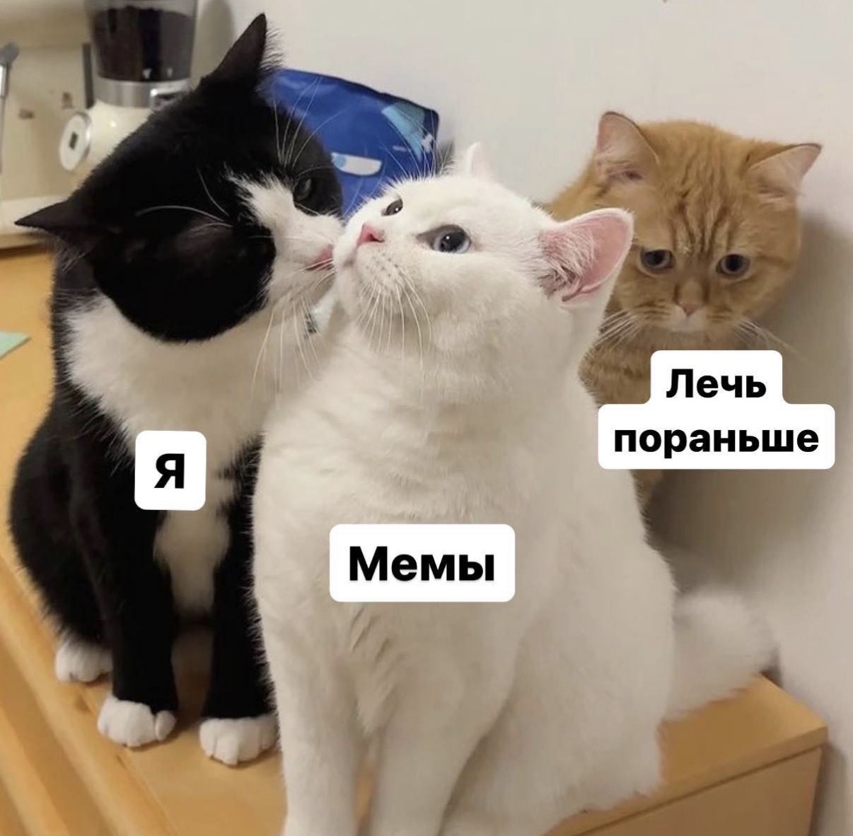 IMG_3575.jpeg