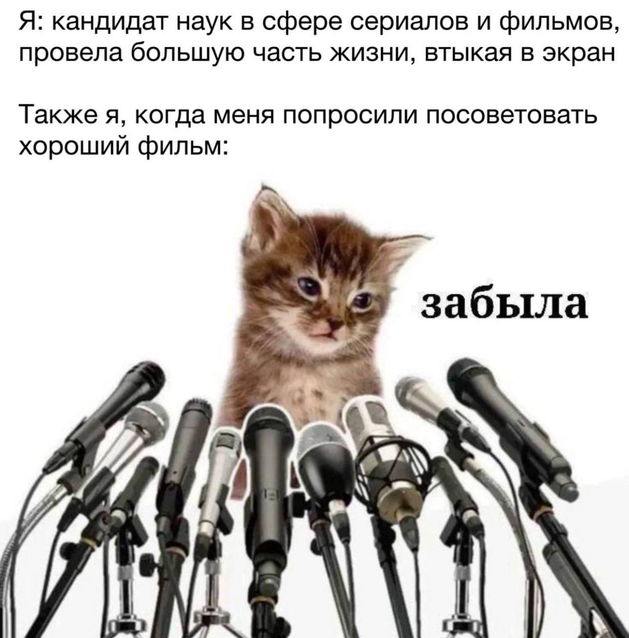IMG_3577.jpeg
